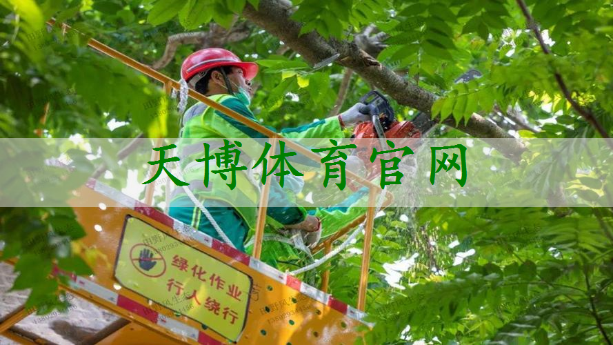 大树园林景观设计方案