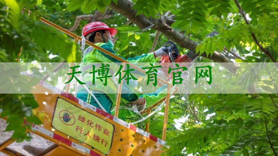 草坪养护不到位、花卉丢失频繁，风景园林管理待加强！